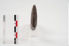 Foto von Eisenhiebmesser (NHMW-PRAE-048335)